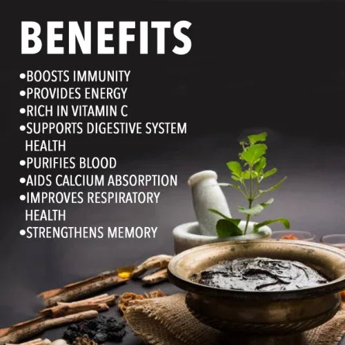 Nutriorg Vedic Chyawanprash - 250 g - Orgoshops