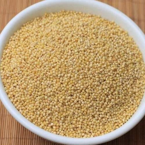 SANGAT : Horse Gram - 1 kg (Pack of 1)