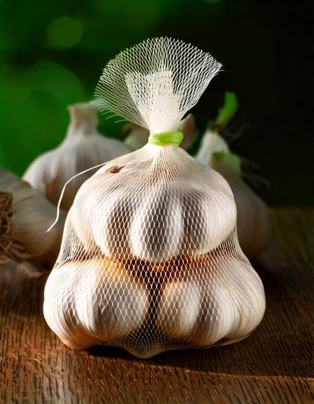 ABINISHA : Garlic | Fresh Garlic | Organic Garilc | Poondu