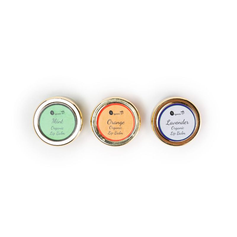 Organic B Lip Balm Pack Of 3 Different Flavours-300gm