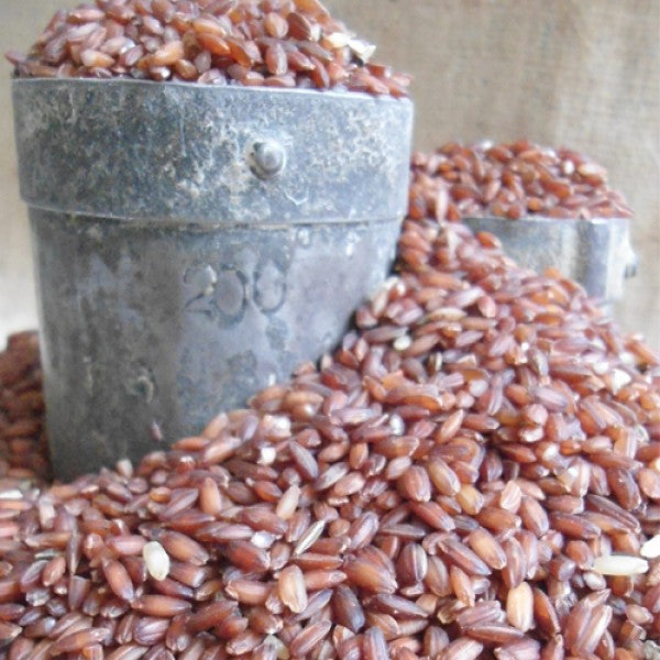 Kudai Vaalai Rice – Traditional Rice Variety | Everyday Cooking & Traditional Meals