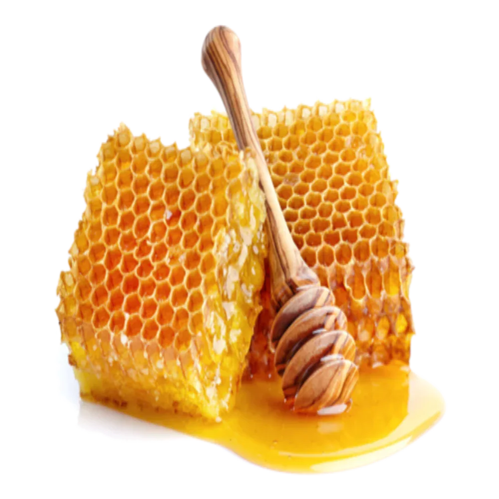 Thaiman Organic Raw Honey / Honey / Kombu Honey - 1 kg - Orgoshops