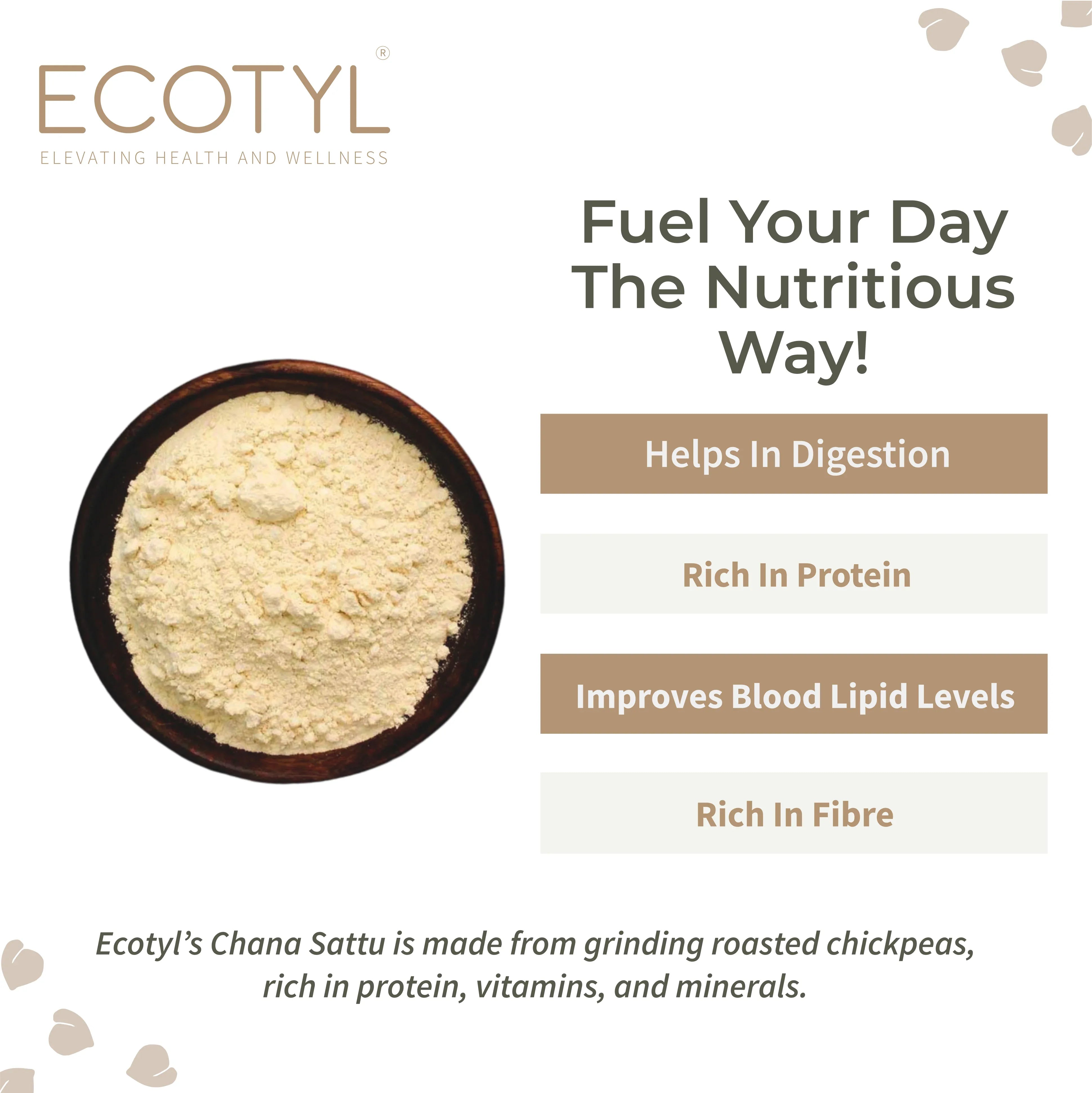 Ecotyl Sattu Atta | Roasted Gram Flour | Plant Based Protein - 400g - Orgoshops