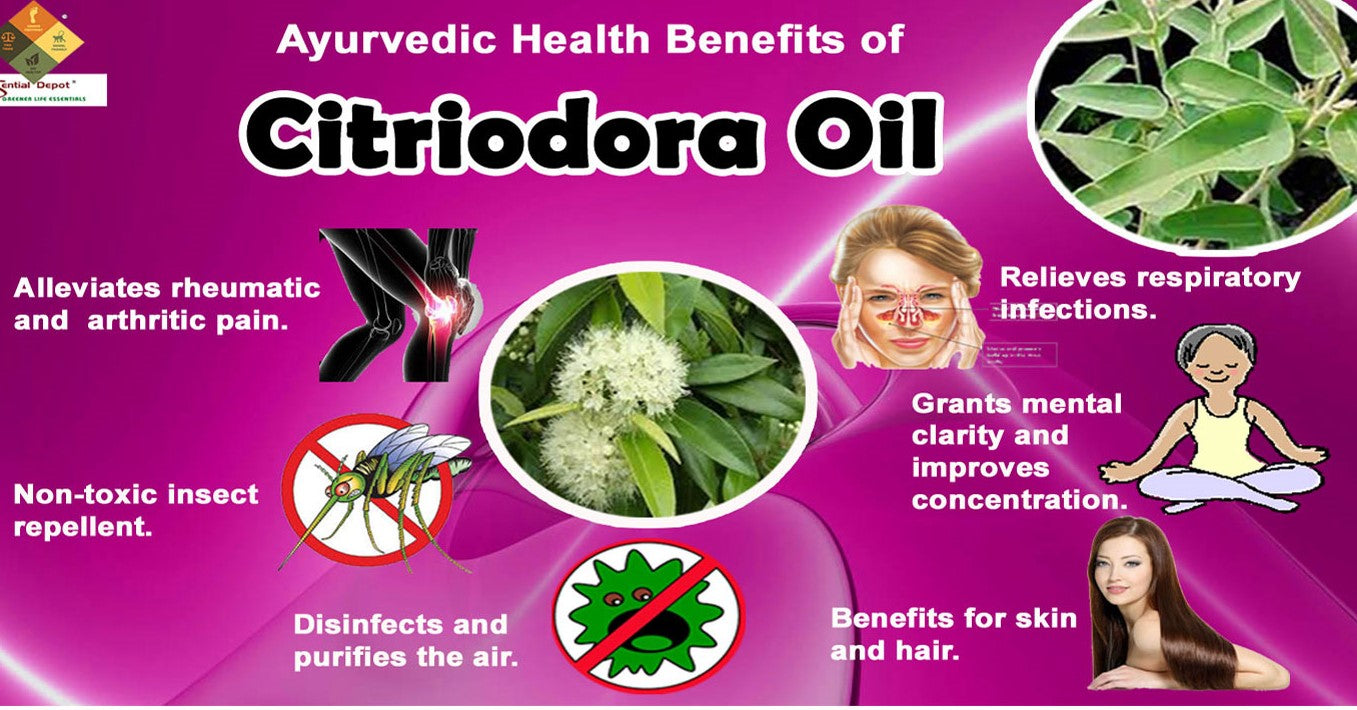 Veena Products Citriodora Hair Oil for Stop Hair Fall - 200ml