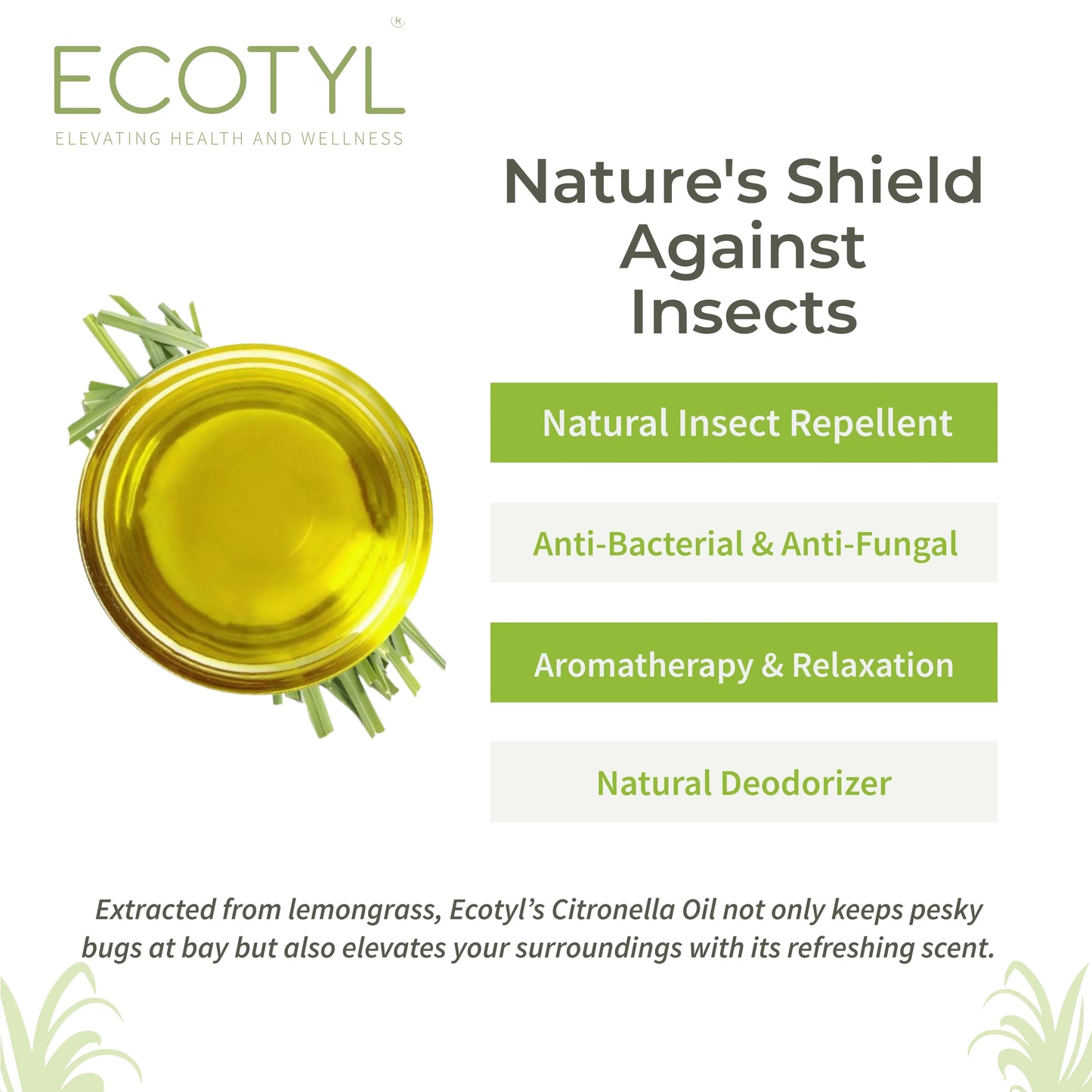 Ecotyl Citronella Oil | Natural Mosquito & Insect Repellent | Toxin Free - 100ml - Orgoshops