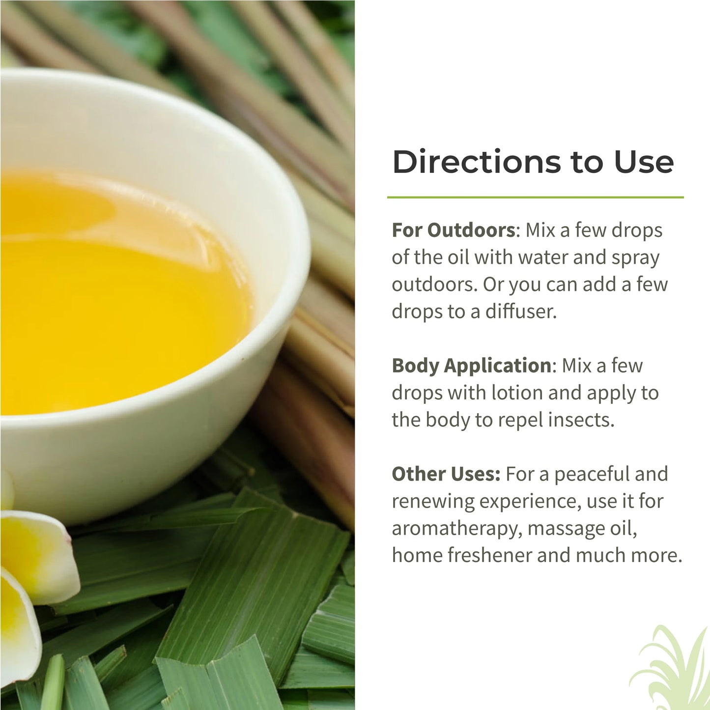 Ecotyl Citronella Oil | Natural Mosquito & Insect Repellent | Toxin Free - 100ml - Orgoshops