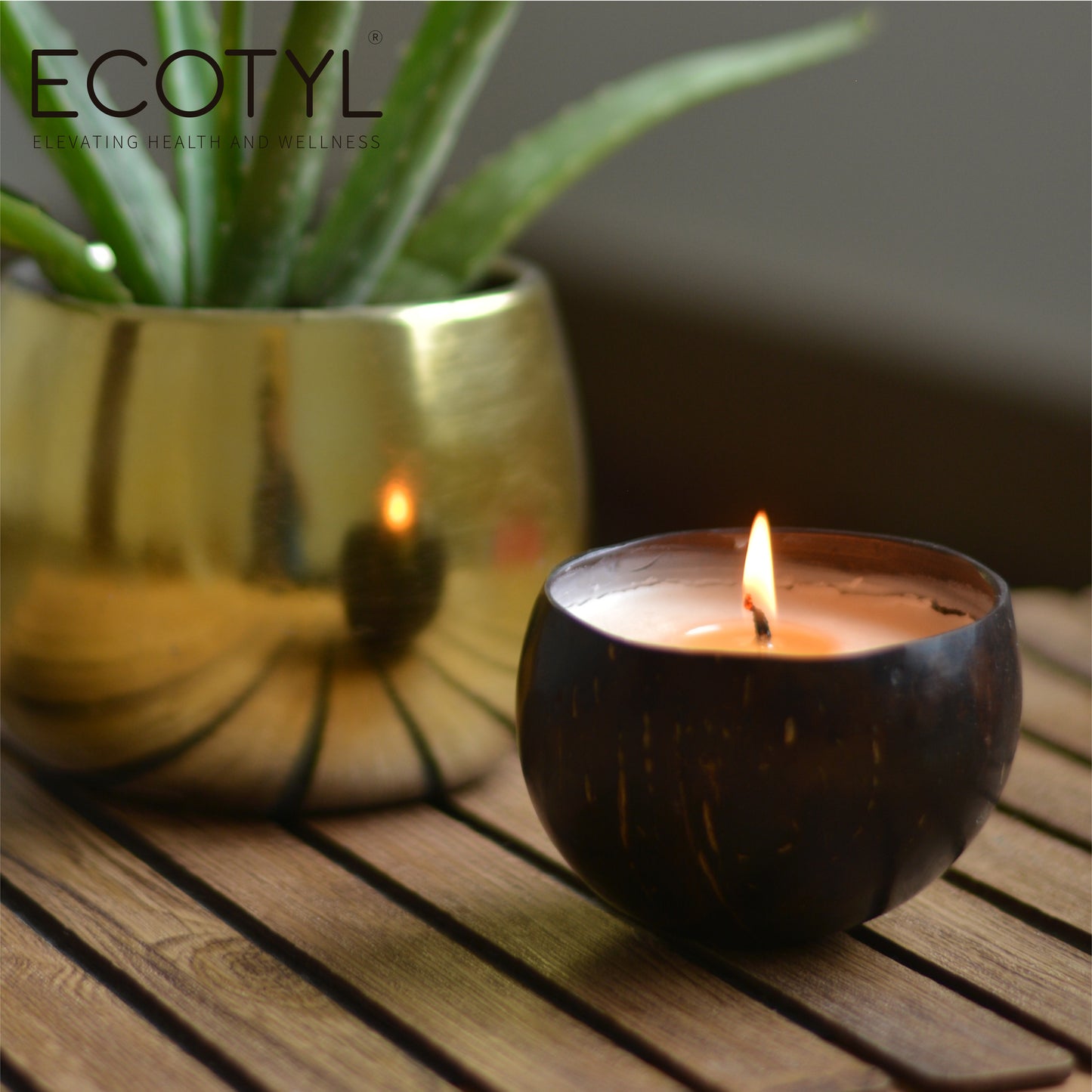 Ecotyl Coconut Shell Candle - Patchouli & Rosewood | Pure Soy Wax  - 100g