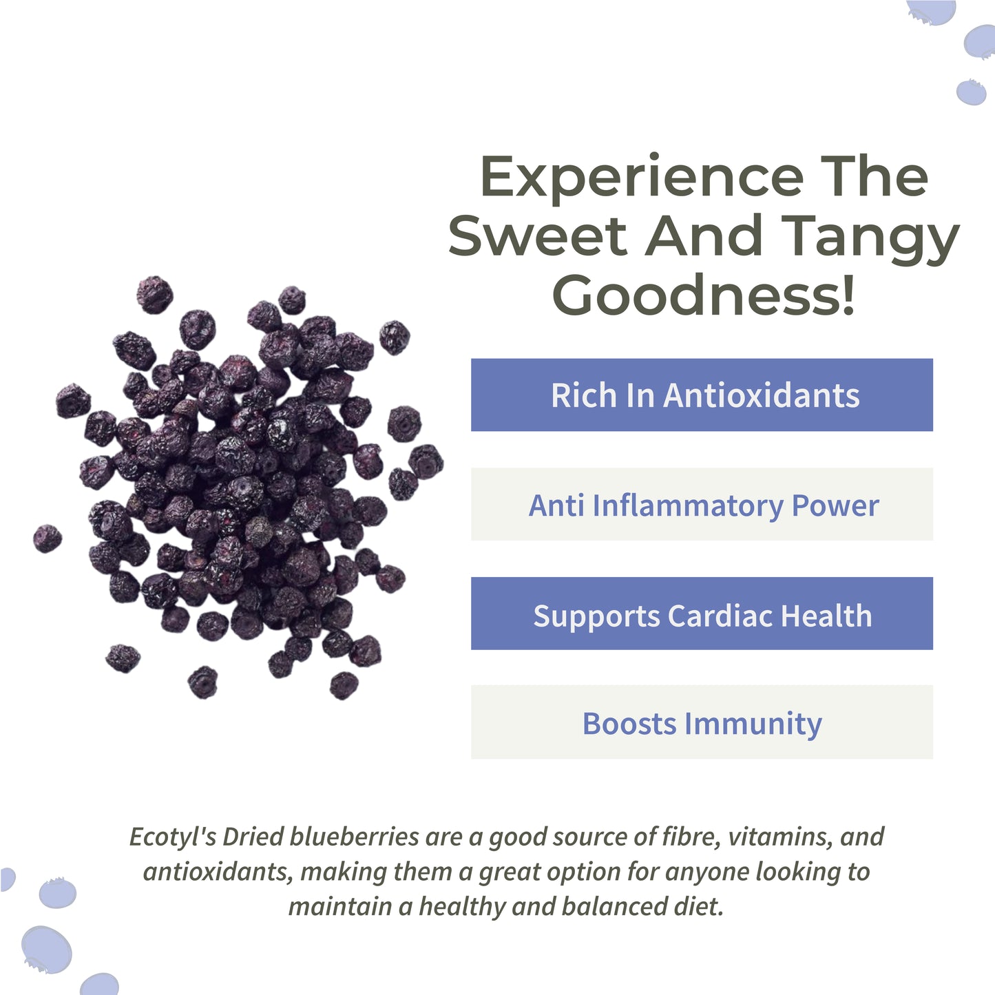 Ecotyl Dried Blueberries | Whole Dried Fruit | Healthy Snack  -.150g