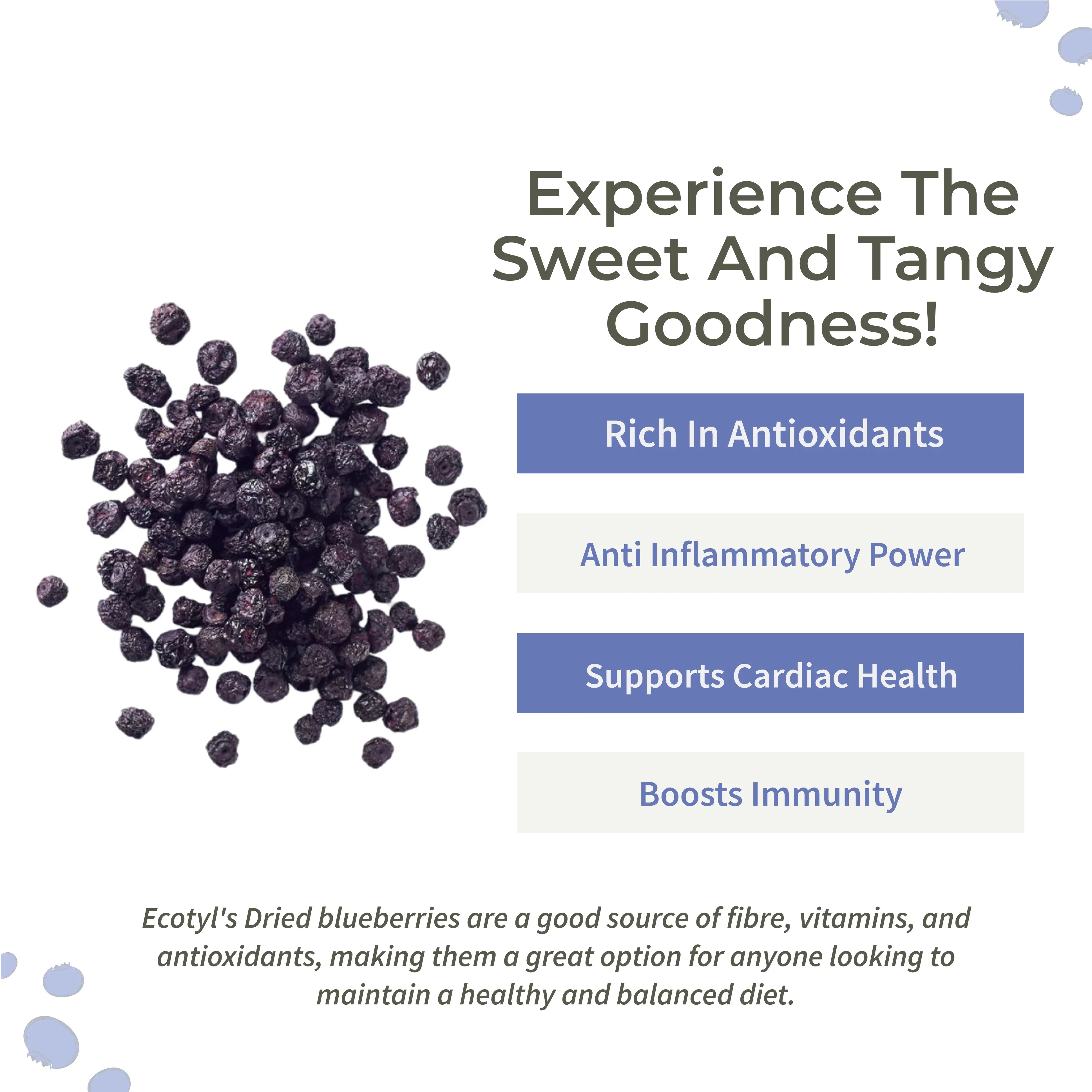 Ecotyl Dried Blueberries | Whole Dried Fruit | Healthy Snack -.150g - Orgoshops