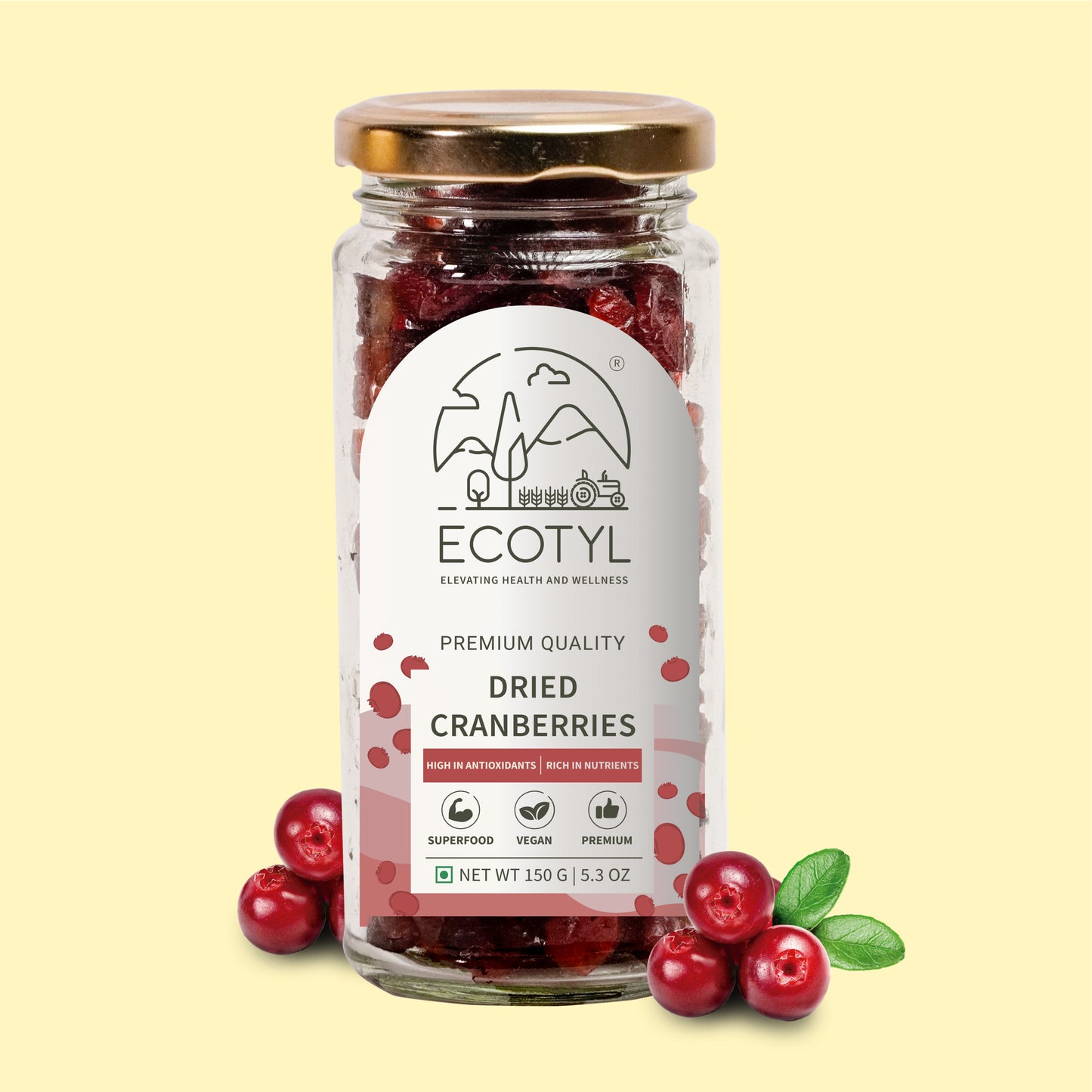 Ecotyl Dried Cranberries | Seedless Dried Fruit | Healthy Snack   - 150g