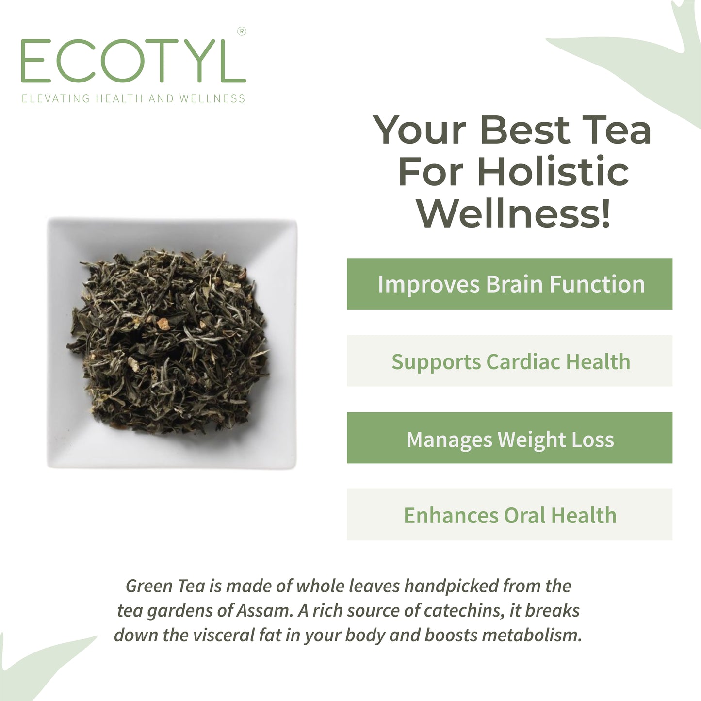 Ecotyl Green Tea Leaves From Darjeeling | Handpicked  - 180g