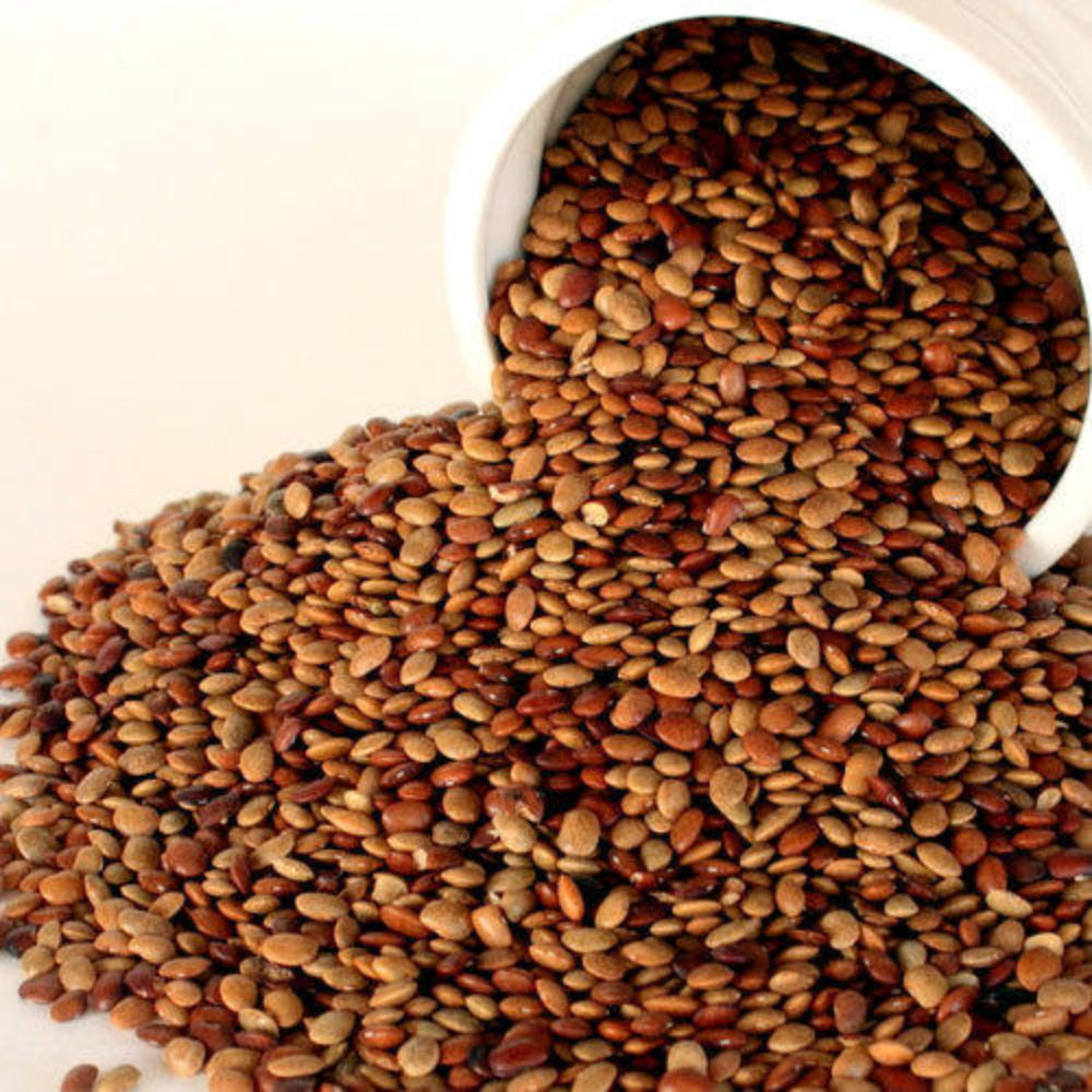 Horse Gram Seeds