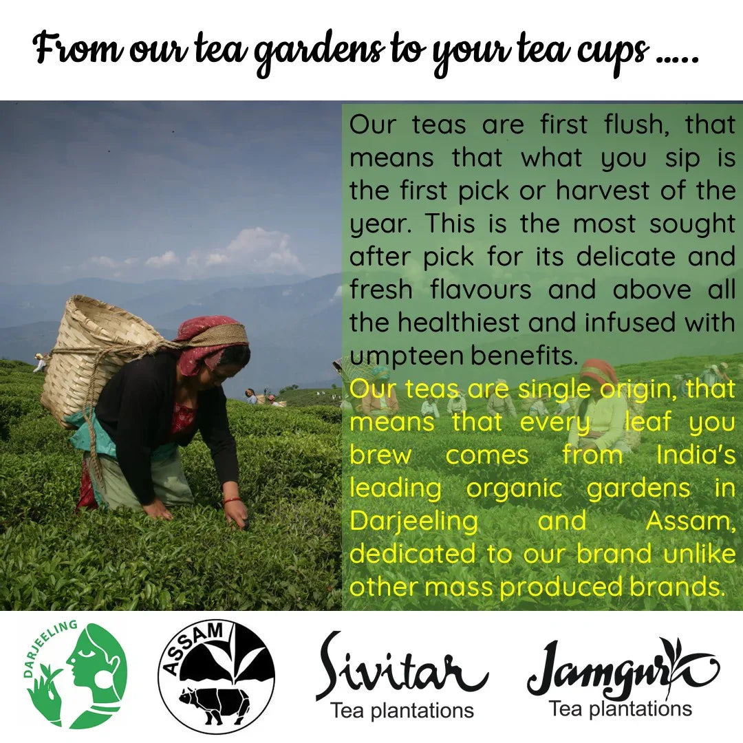 Anti-Ageing Green Leaf | Cold & Hot Brew | (50 gm) Makes 25 Cups - Orgoshops