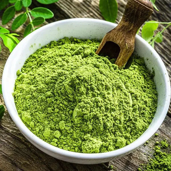 Intake Moringa Leaf Powder / Moringa Powder / Drumstick Leaf Powder - 400 g - Orgoshops