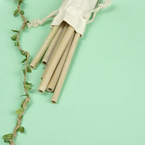 Onearth Bamboo Straws with Cleaner – Pack of 2 - Orgoshops