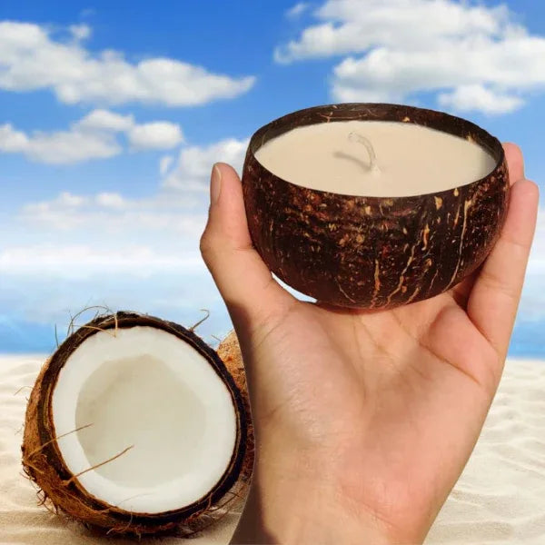 Onearth Soy Wax Candle - Coconut Shell Pack of 1 (150 gms) Japanese Cherry Blossom - Orgoshops