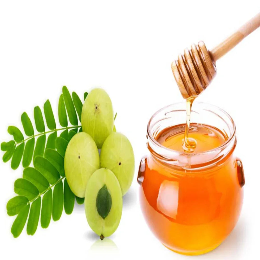 Organic Amla Honey in India