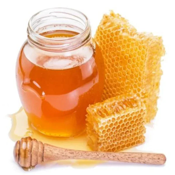 Thaiman Pure Organic Kollihills Wild Forest Honey / Hill Honey - 1 kg - Orgoshops