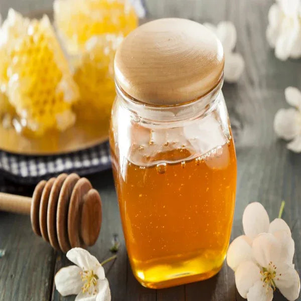 Thaiman Organic Raw Honey / Honey / Kombu Honey - 1 kg - Orgoshops