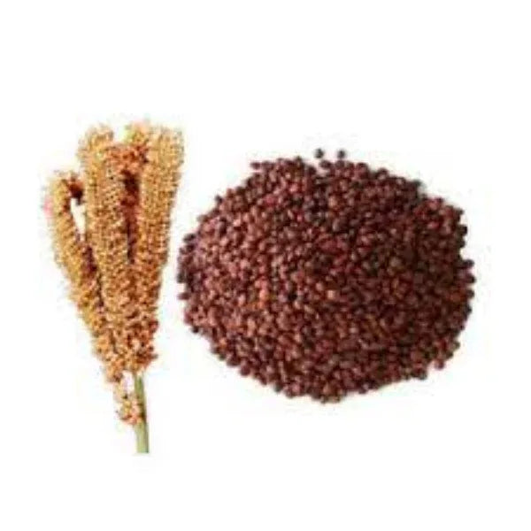 Thaiman Organic Ragi / Keluvarugu / Millet / Finger Millet - 2 kg - Orgoshops