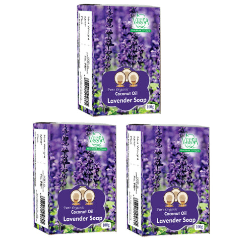 Veena Products Lavender Soap - 100g ( Pack of 3 )