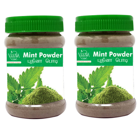 Veena Products Mint Powder - 100g ( Pack of 2 )