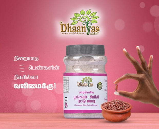 Dhaanyas Poongar Rice Puttu Mix - 300 Gms (Pack of 2)