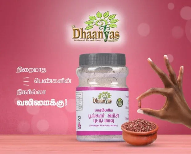 Dhaanyas Poongar Rice Puttu Mix - 300 Gms (Pack of 2) - Orgoshops