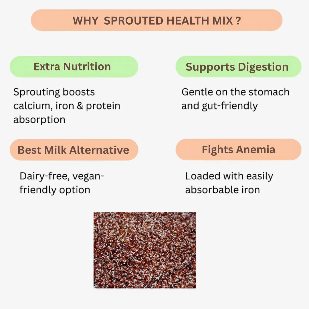 Roohi Common Sprouted Health Mix - 250 gram - Orgoshops