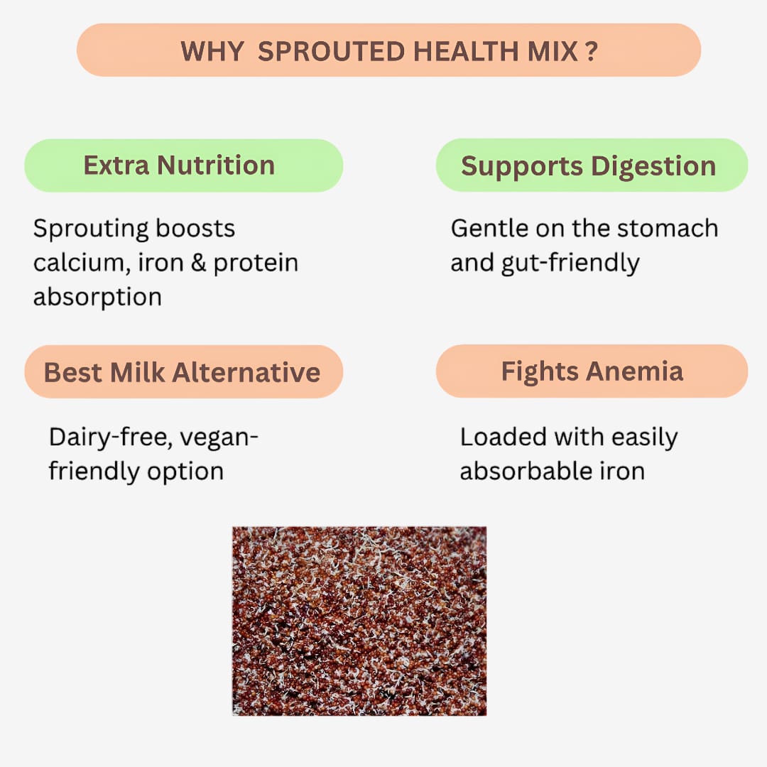 Roohi Common Sprouted Health Mix - 250 gram