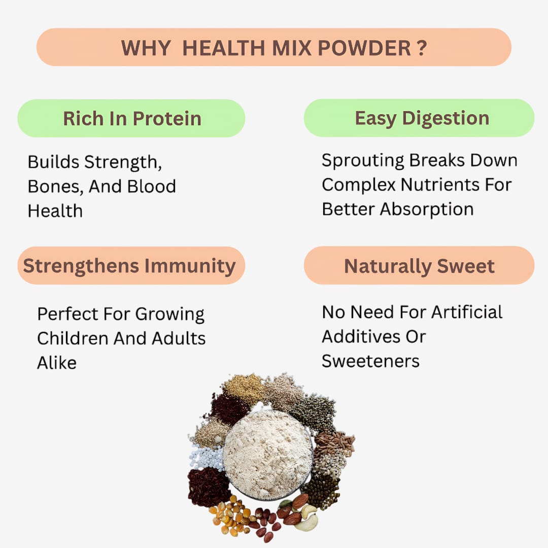 Shree Home Food Health Mix / Sathu Maavu