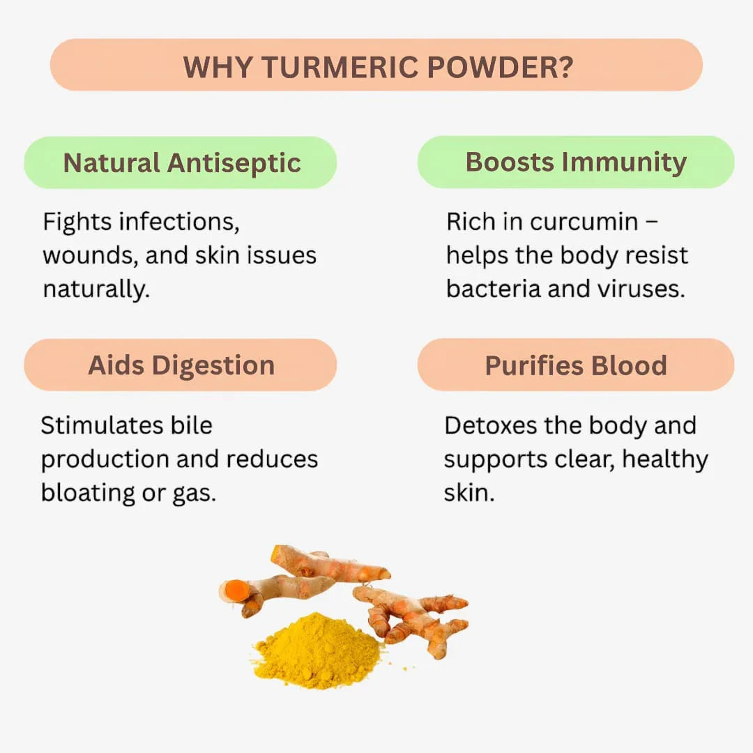 Shree Home Food Turmeric Powder / Manjal Podi - 250 g - Orgoshops
