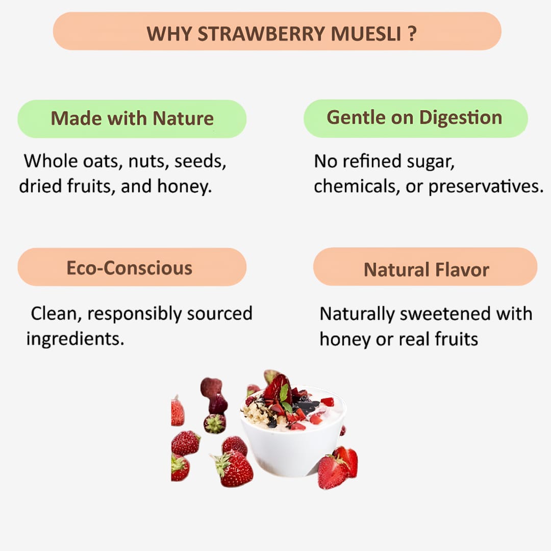 Shree Home Food Strawberry Muesli - 250 g