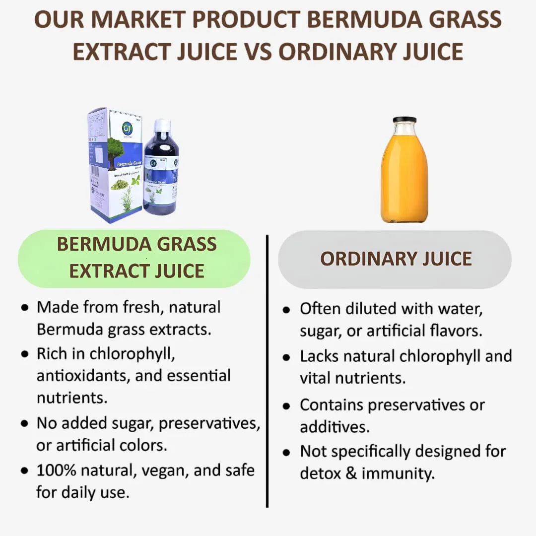 Gj Global Bermuda Grass Extract Juice - 500 ml - Orgoshops