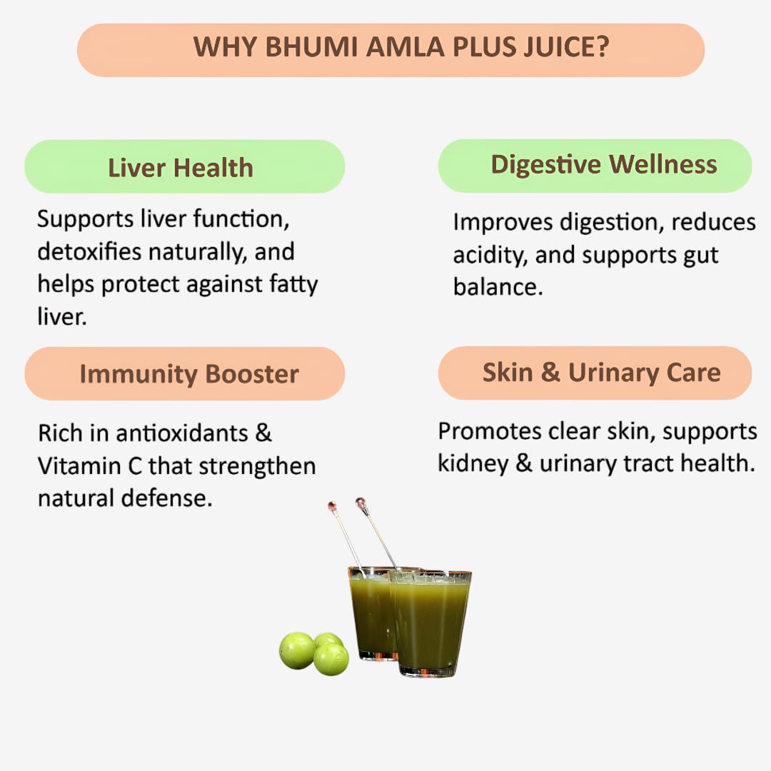 Gj Global Bhumi Amla Plus Juice - 500 ml