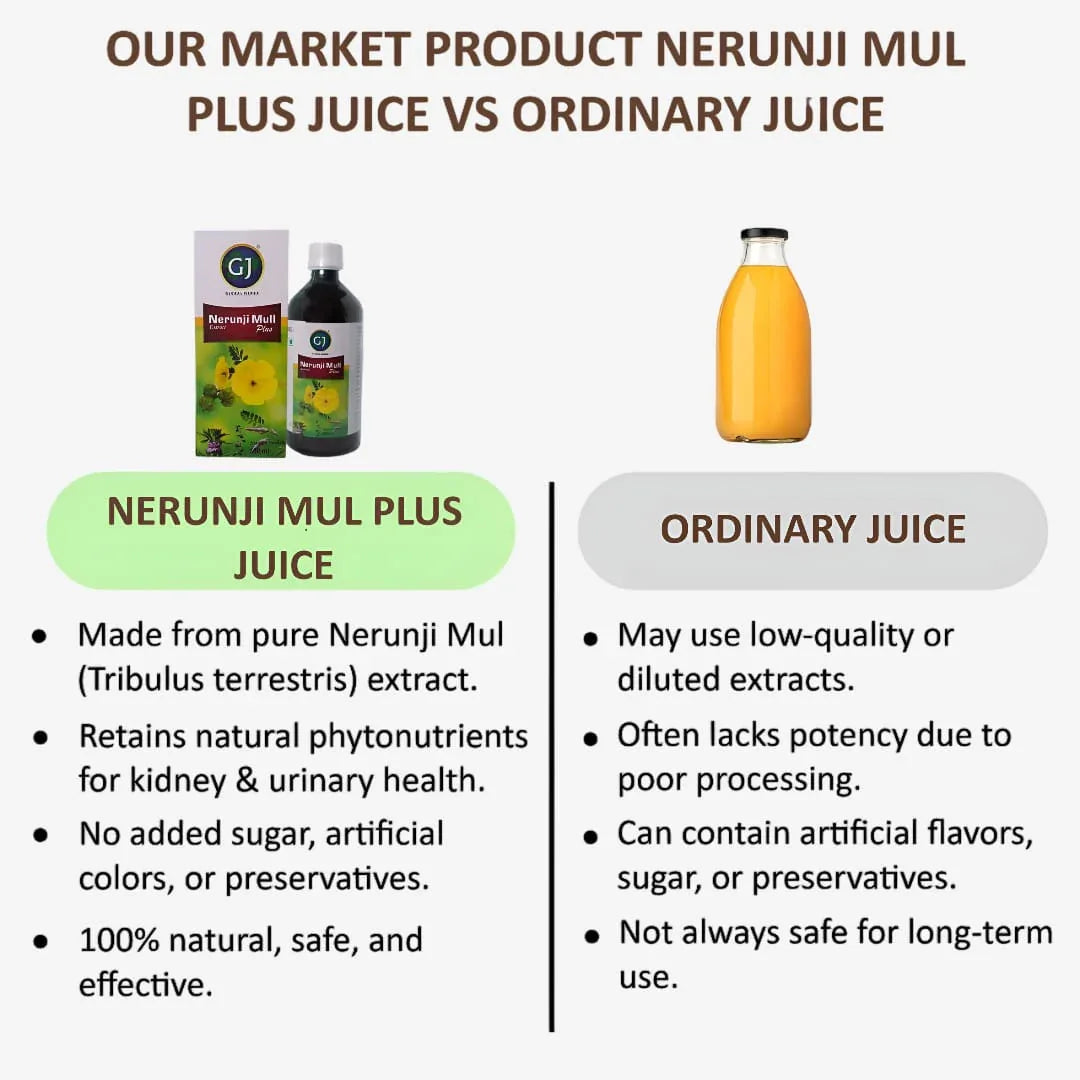Gj Global Nerunji Mul Plus Juice (Kidney Care) - 500 ml - Orgoshops