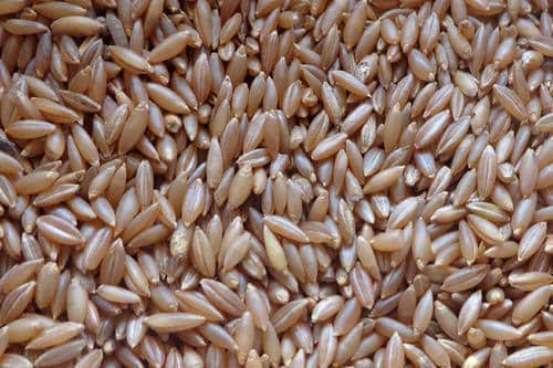 Bamboo Rice | Traditional Natural Rice | Nutritious Rice Grain | Suitable for Everyday Cooking