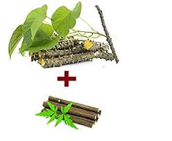 Oxygen Herbals Neem And Banyan Chewing Stick ( 25+25 )