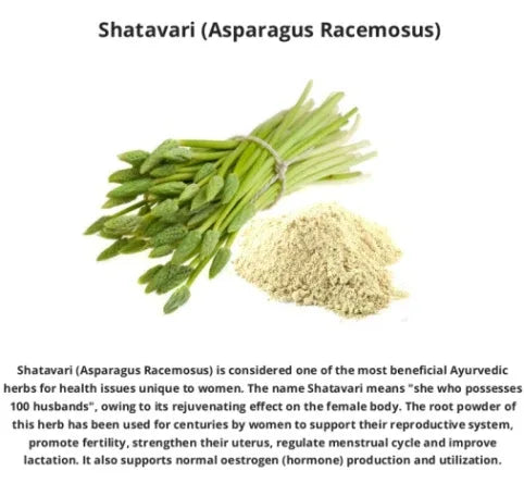 Oxygen Herbals Asparagus Powder ( 250g ) - Orgoshops