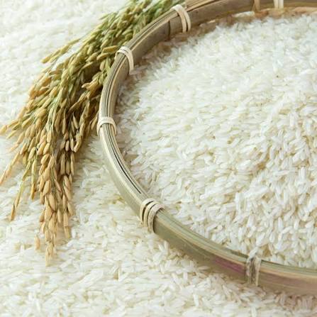 Iluppai Poo Samba Rice | Traditional Native Rice Variety | Naturally Aromatic Rice | Healthy Rice for Everyday Cooking