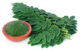 Oxygen Herbals Pure Moringa Leaves Boosts Immunity Levels - 200g