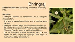 Oxygen Herbals Bhringraj Powder ( 250g )