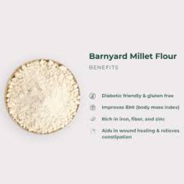 ROOHI : Barnyard Millet / Kuthiraivali Health Mix -250 gram