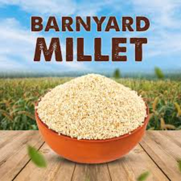 ROOHI : Barnyard Millet / Kuthiraivali Health Mix -250 gram