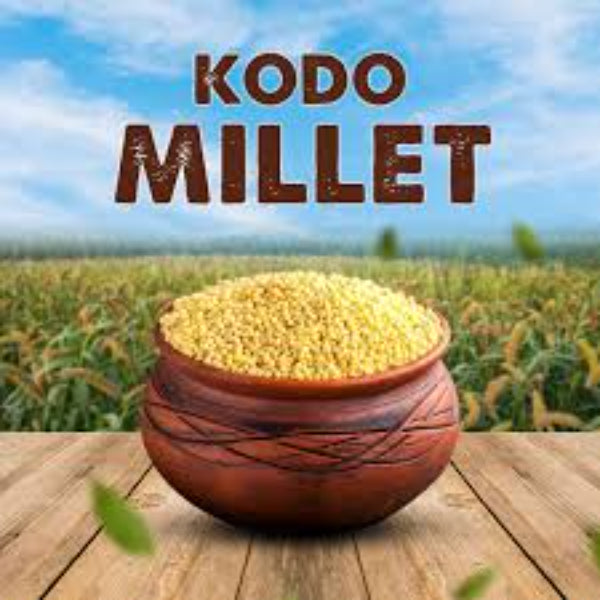 ROOHI : Kodo Millet / Varagu Health Mix - 250 gram