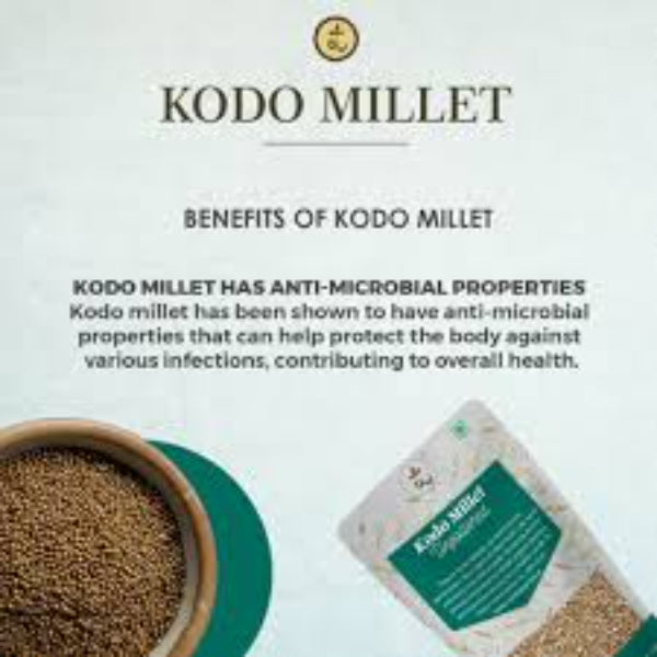 ROOHI : Kodo Millet / Varagu Health Mix - 250 gram