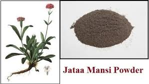 Oxygen Herbals Jatamansi Hair Powder ( 250gm )