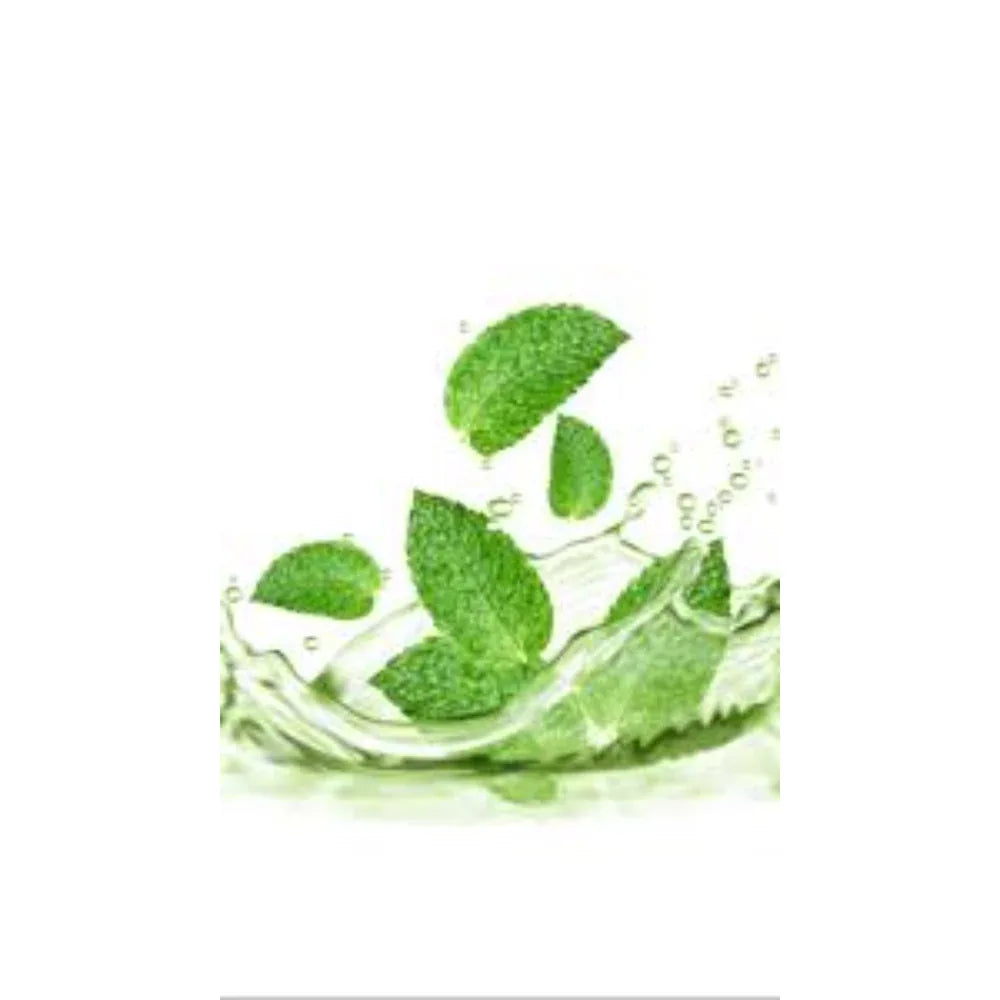 Dhaanyas Mint Face Pack | தான்யாஸ் புதினா பேஸ் பேக் - 100 Gms - (Pack of 2) - Orgoshops