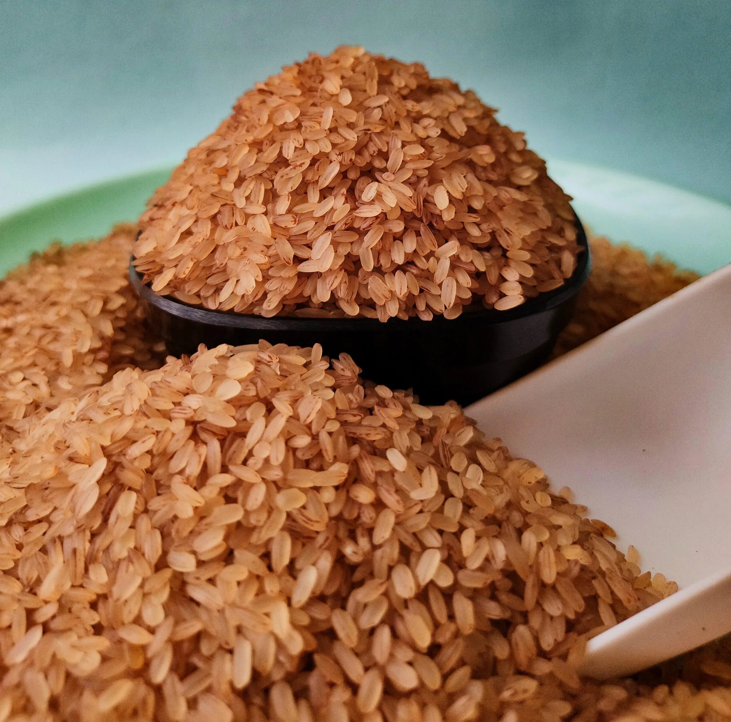 Pure Kerala Matta Rice / Orgo Grand - Orgoshops