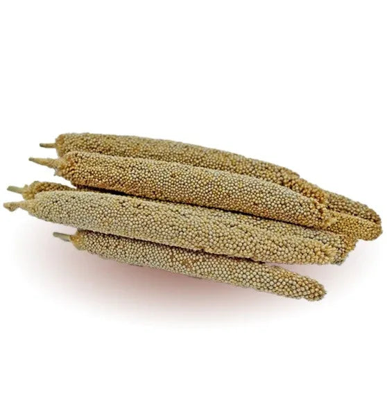 Thaiman Organic Nattu Kambu / Pearl Millet / Millet / Kambu - 2kg - Orgoshops